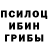 Псилоцибиновые грибы мицелий Tatjana Voronicheva