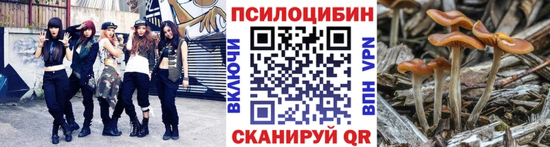 mega ONION  Калач-на-Дону  Галлюциногенные грибы Cubensis  купить  сайты 