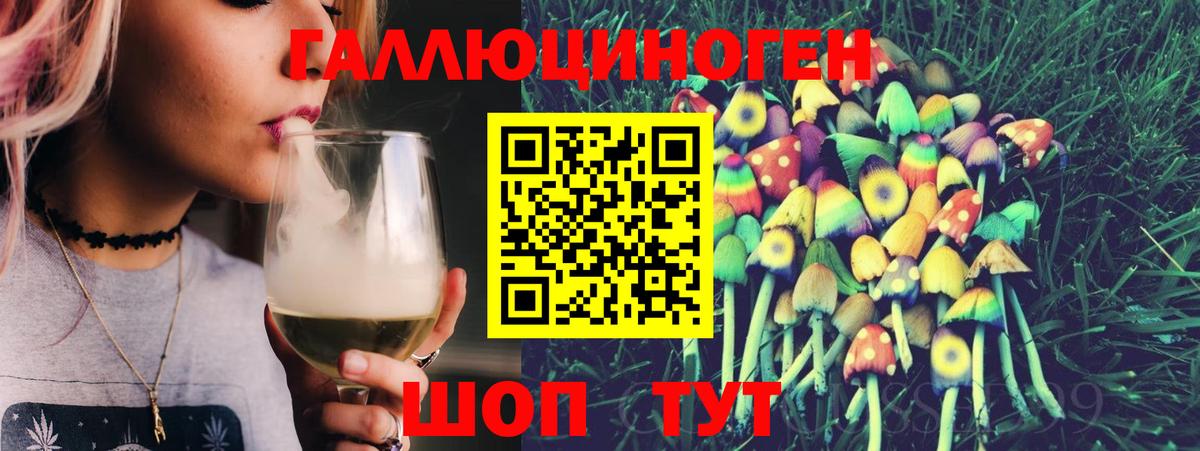 Псилоцибиновые грибы Cubensis Калач-на-Дону