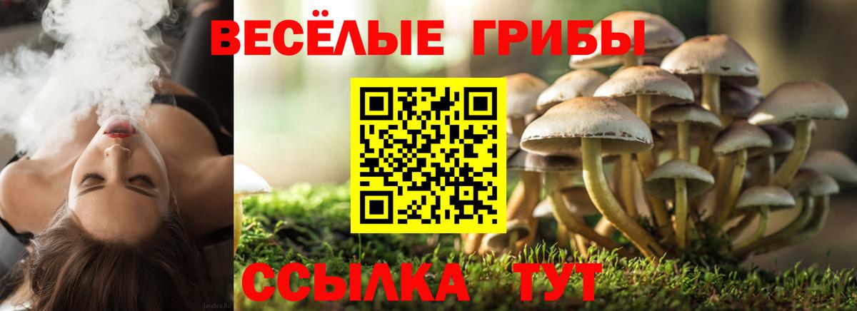 Калач-на-Дону  Псилоцибиновые грибы Psilocybine cubensis  Вход с VPN  Галлюциногенные грибы Magic Shrooms 